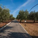 Lucia Apartamento